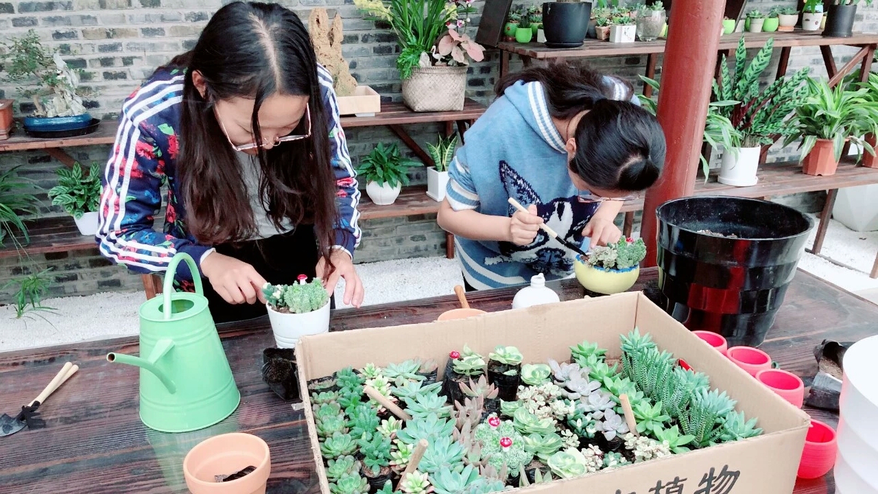 澳门信誉平台推荐网站