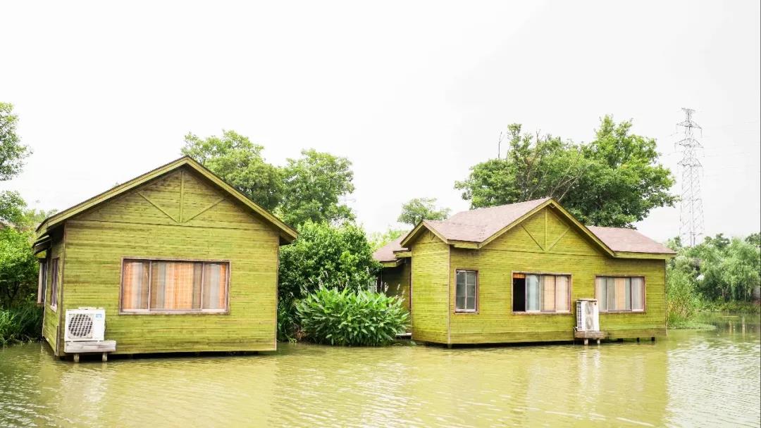 澳门信誉平台推荐网站