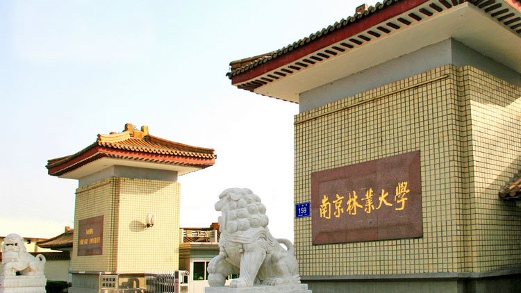 澳门信誉平台推荐网站