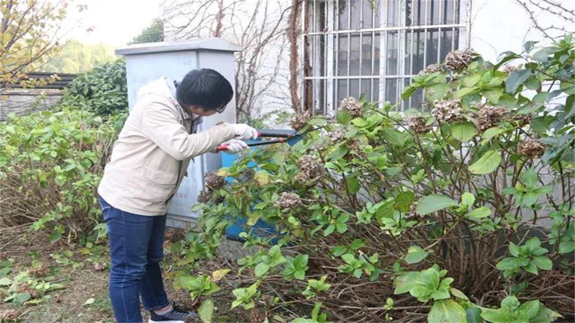 澳门信誉平台推荐网站