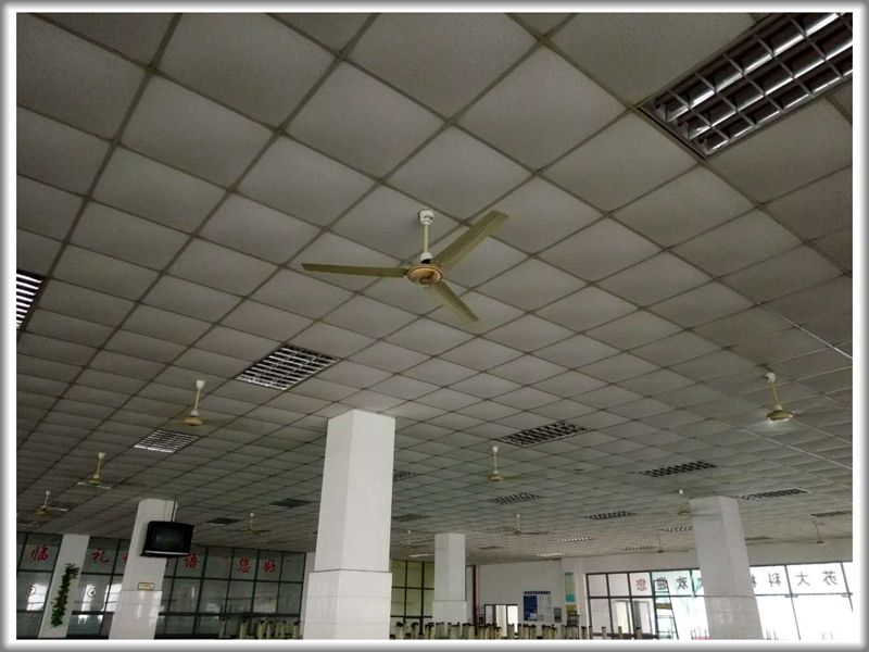 澳门信誉平台推荐网站