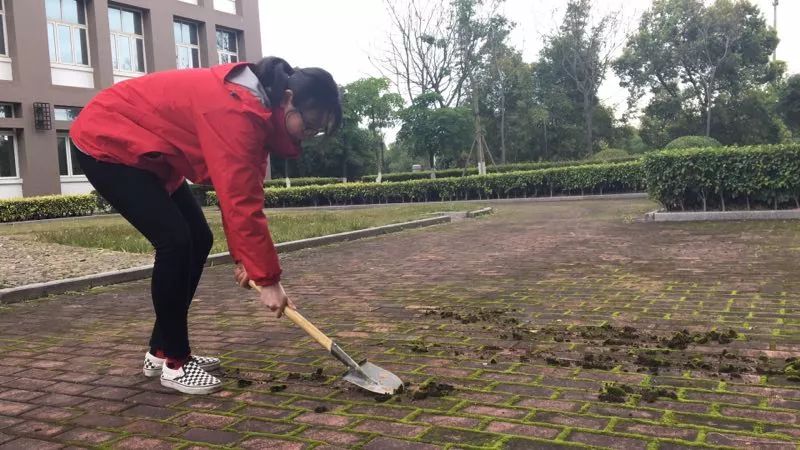 澳门信誉平台推荐网站