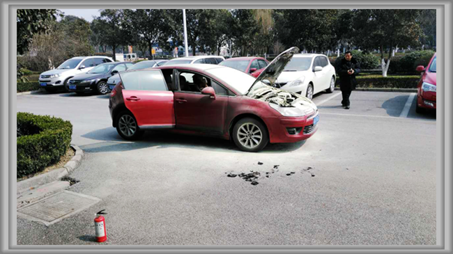 澳门信誉平台推荐网站