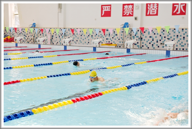 澳门信誉平台推荐网站