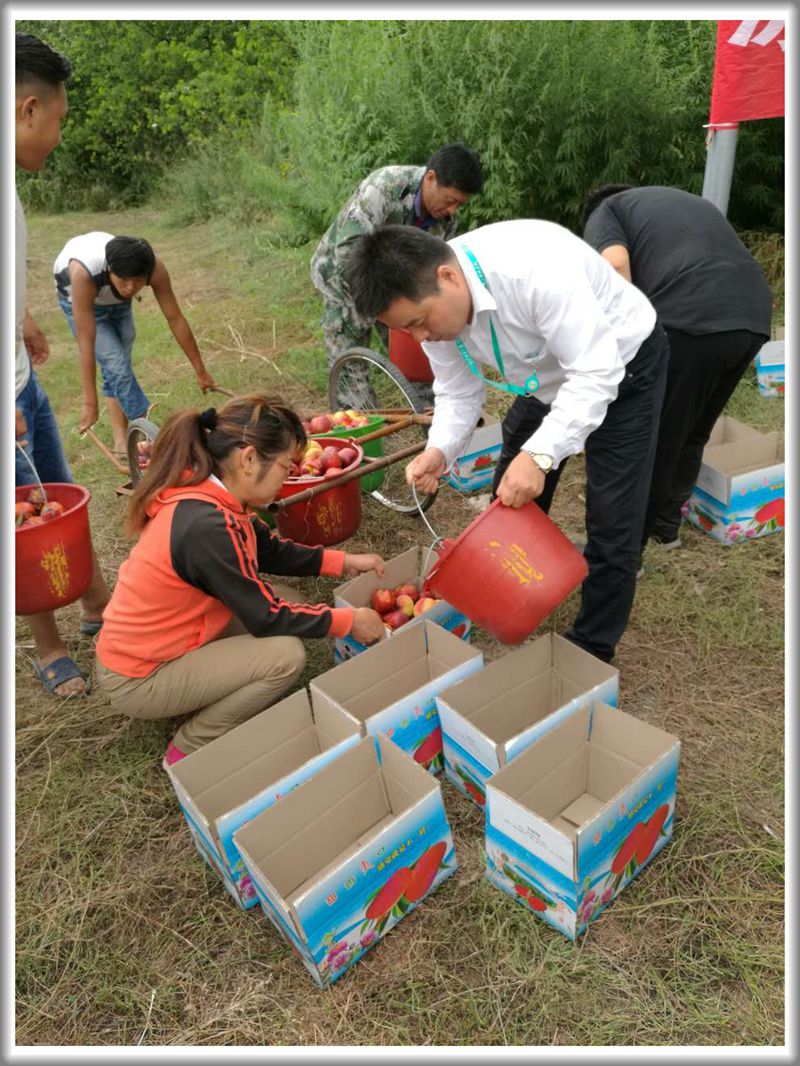 澳门信誉平台推荐网站