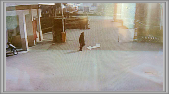 澳门信誉平台推荐网站