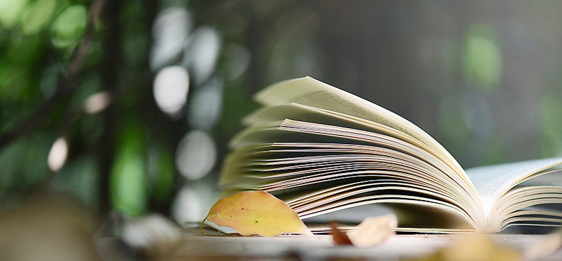 澳门信誉平台推荐网站