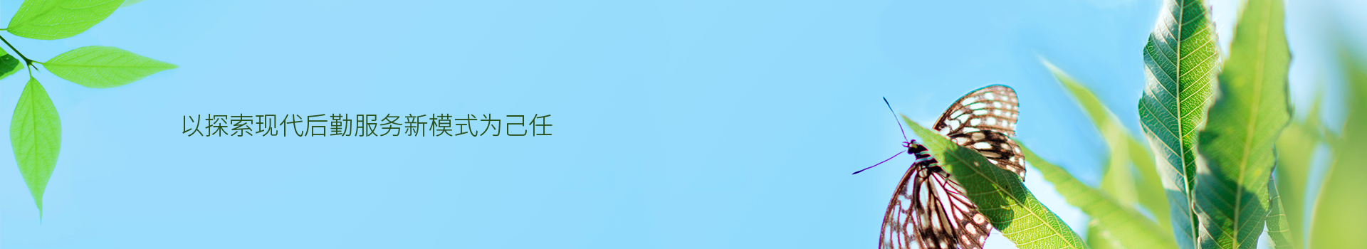 澳门信誉平台推荐网站