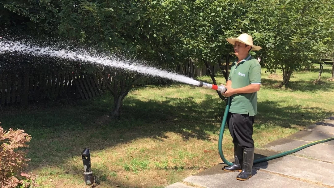 澳门信誉平台推荐网站