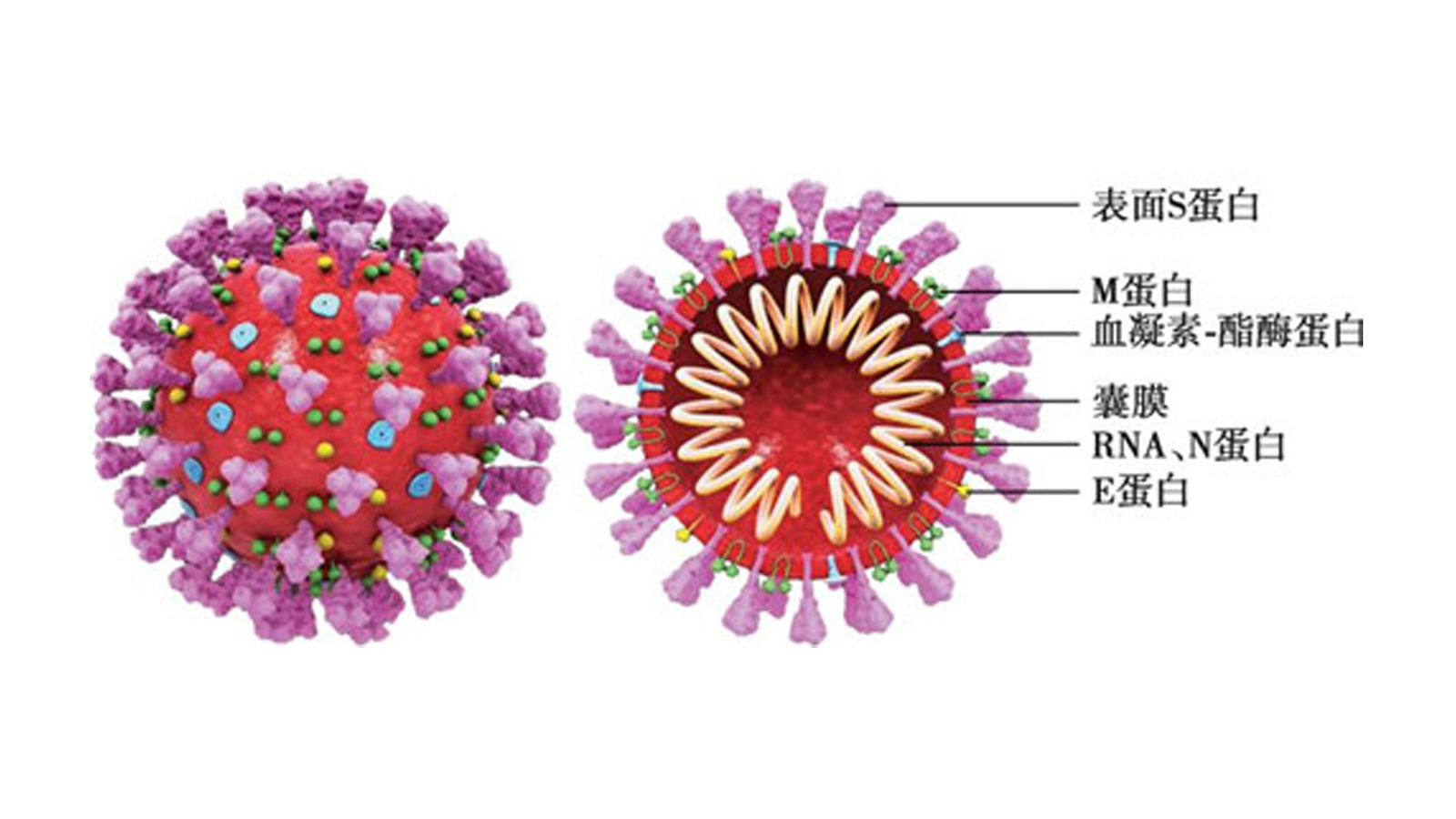 澳门信誉平台推荐网站
