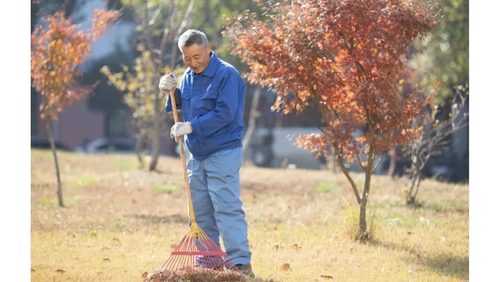 澳门信誉平台推荐网站