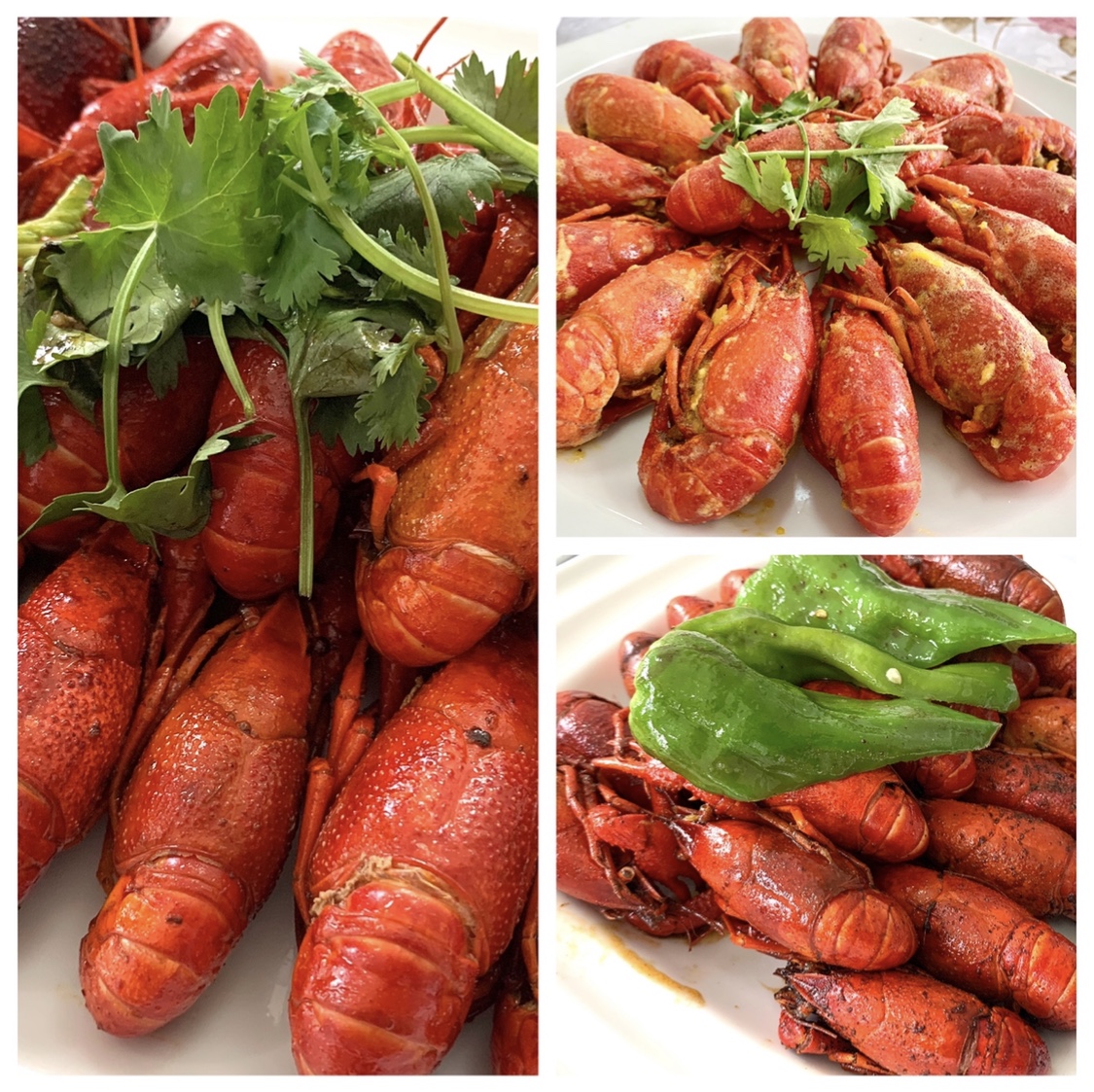 澳门信誉平台推荐网站