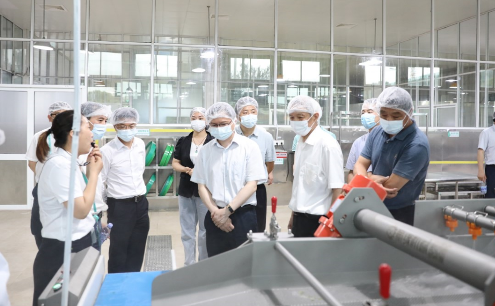 澳门信誉平台推荐网站