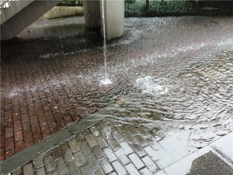 澳门信誉平台推荐网站