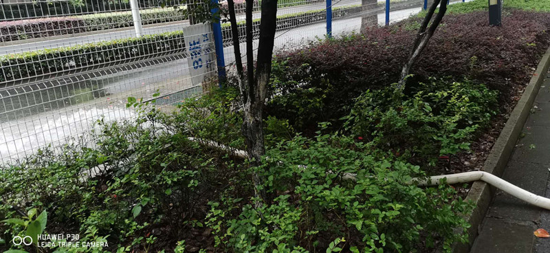 澳门信誉平台推荐网站