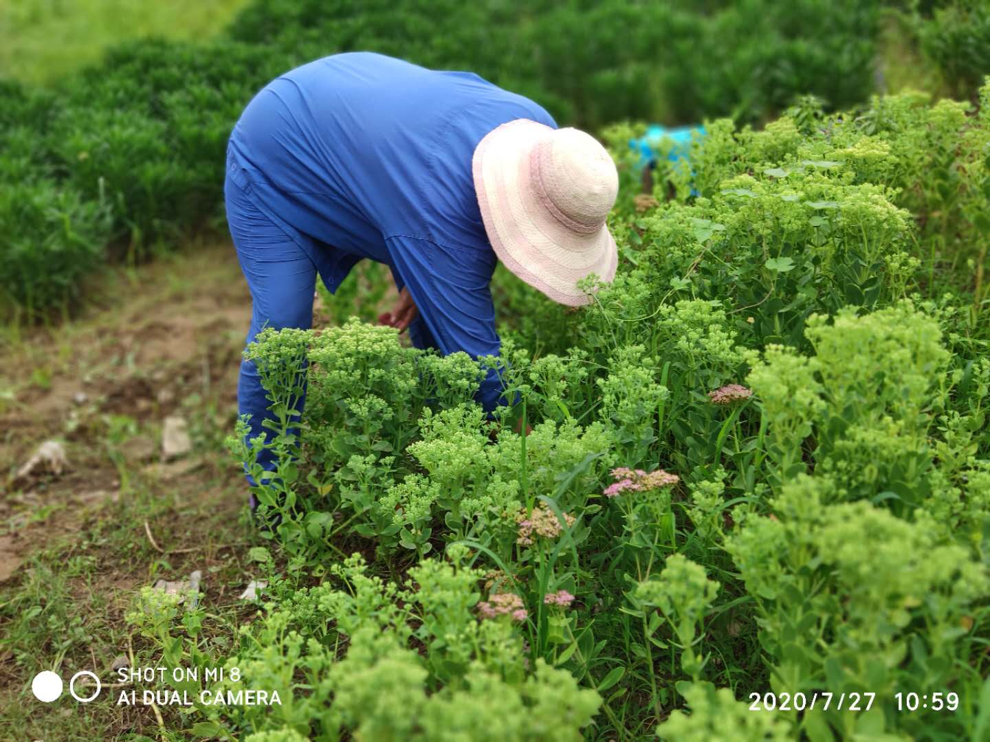 澳门信誉平台推荐网站
