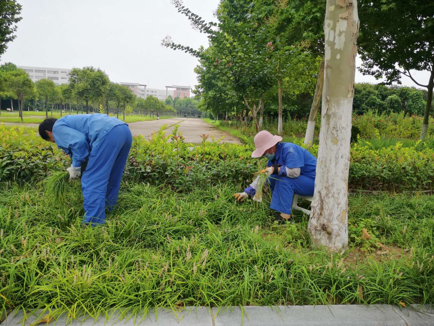 澳门信誉平台推荐网站