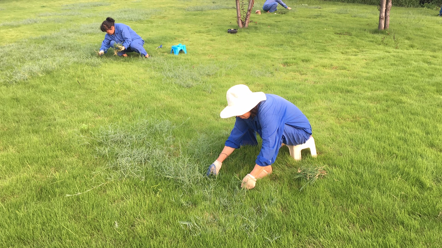 澳门信誉平台推荐网站