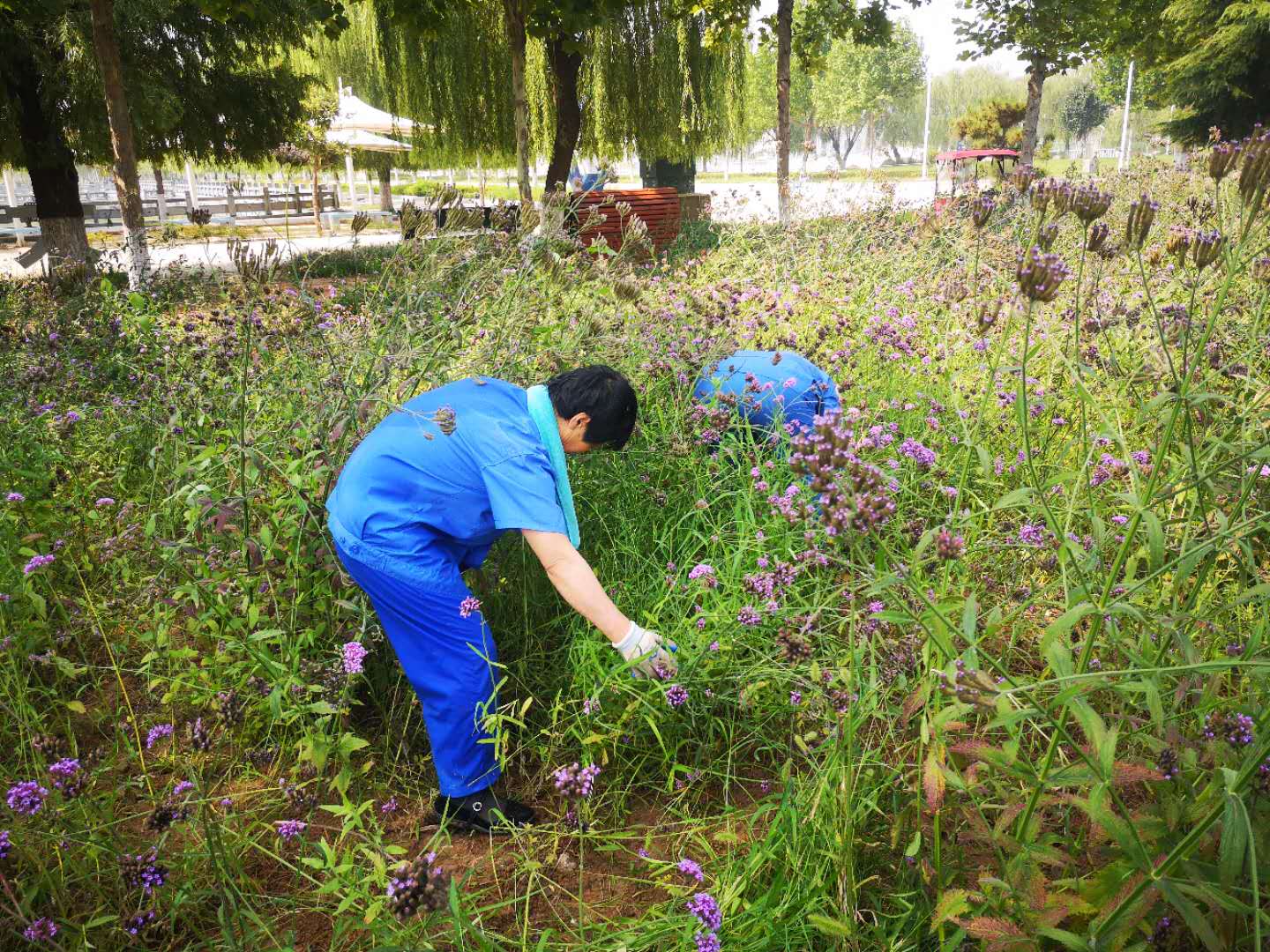 澳门信誉平台推荐网站