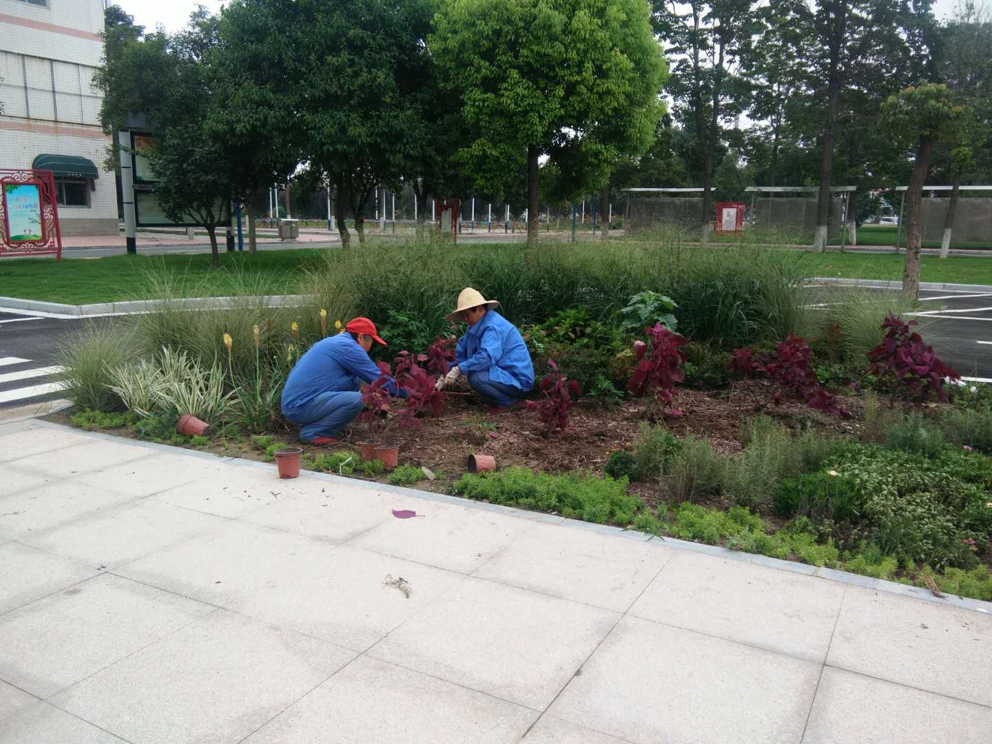 澳门信誉平台推荐网站