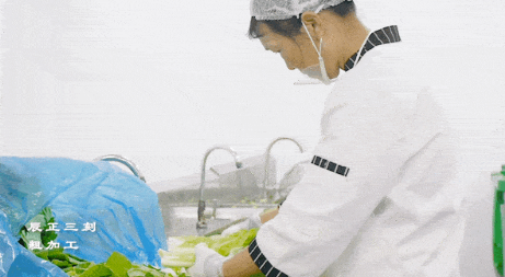 澳门信誉平台推荐网站