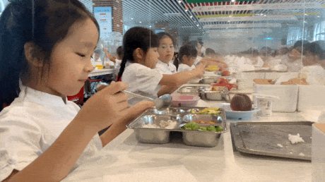 澳门信誉平台推荐网站