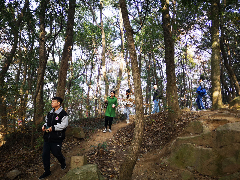 澳门信誉平台推荐网站