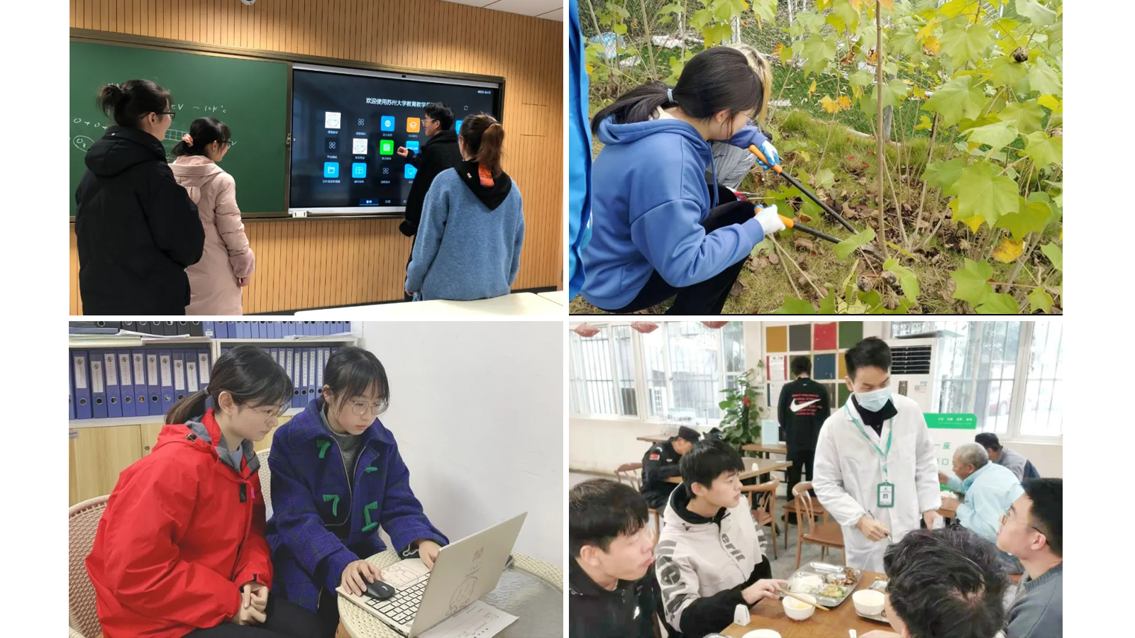 澳门信誉平台推荐网站