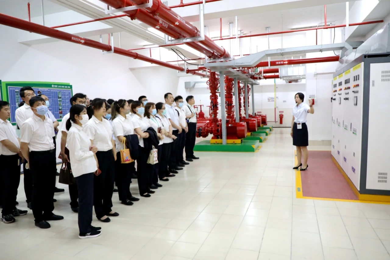 澳门信誉平台推荐网站