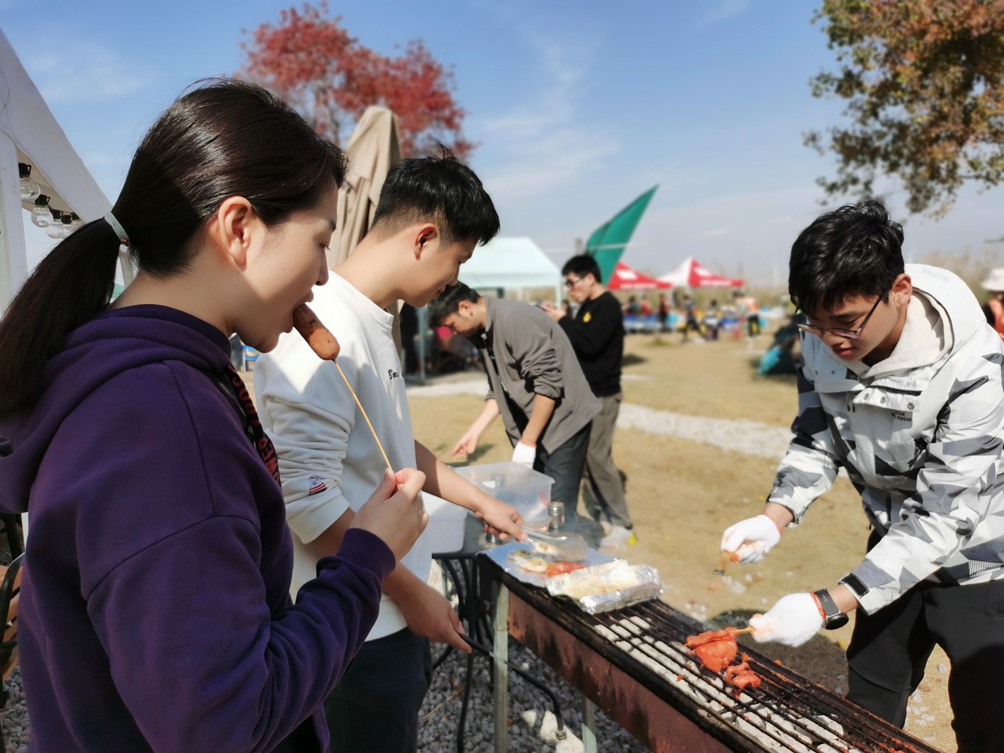 澳门信誉平台推荐网站