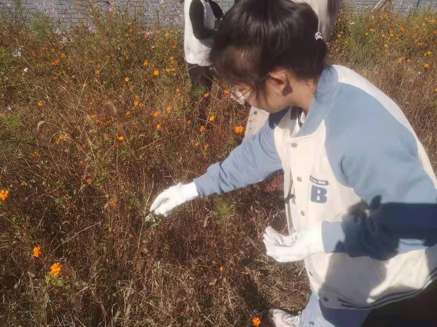 澳门信誉平台推荐网站