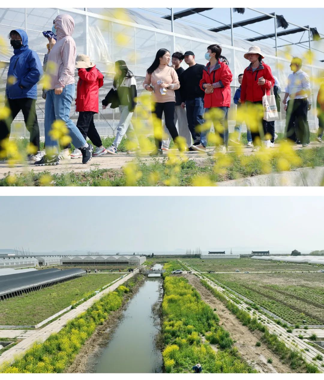 微信图片_20230407194549 澳门信誉平台推荐网站