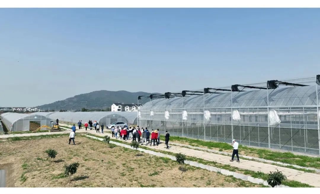 澳门信誉平台推荐网站