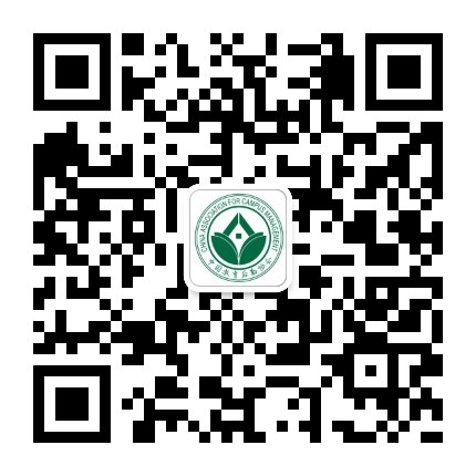 澳门信誉平台推荐网站