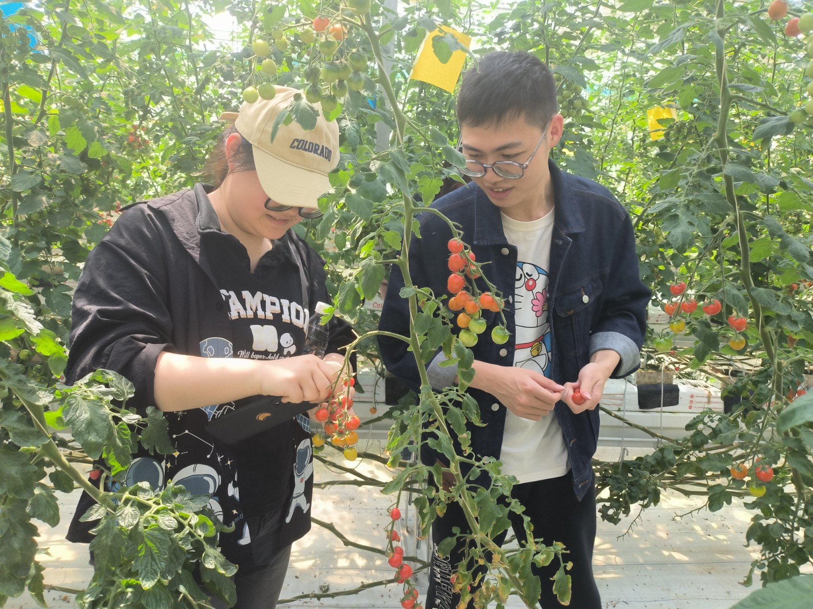 微信图片_20240510134433