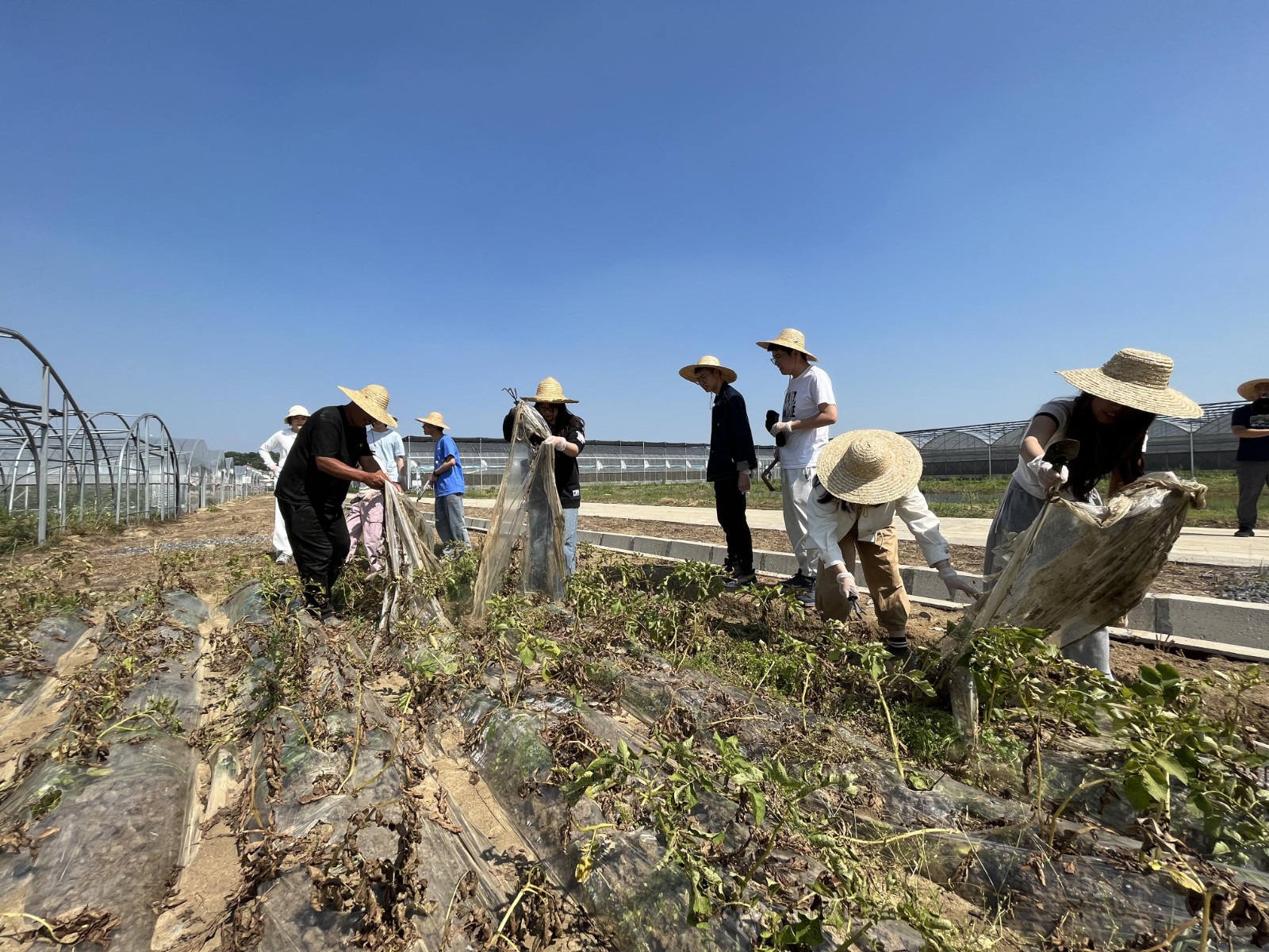 微信图片_20240510134439