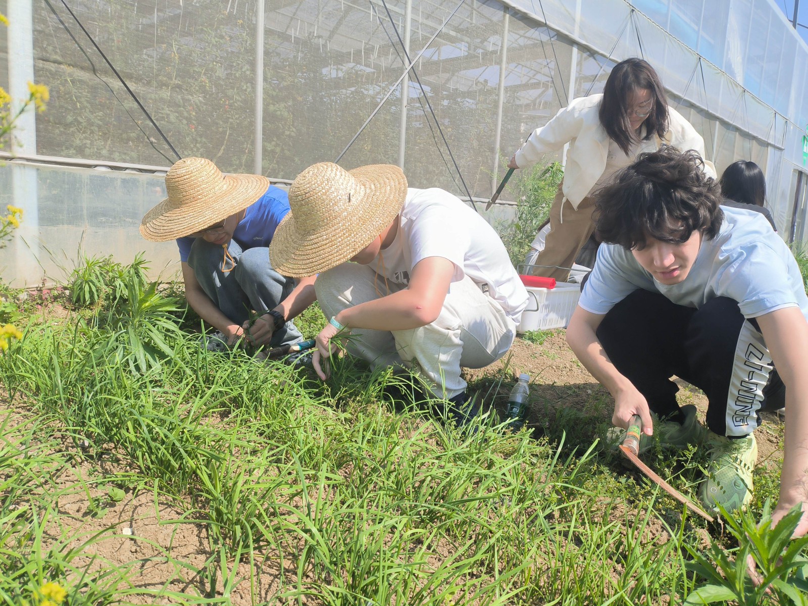 微信图片_20240510134449